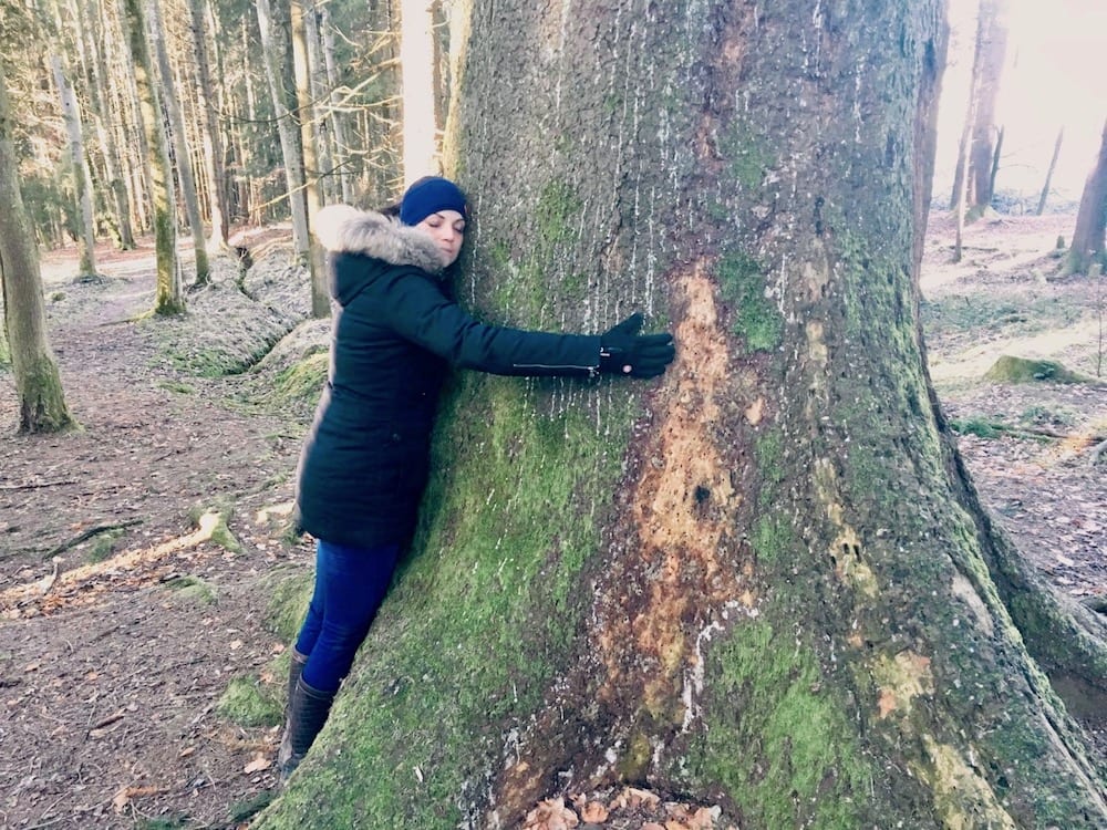 Bäume umarmen und Baden im Wald - wie funktioniert Waldbaden richtig?